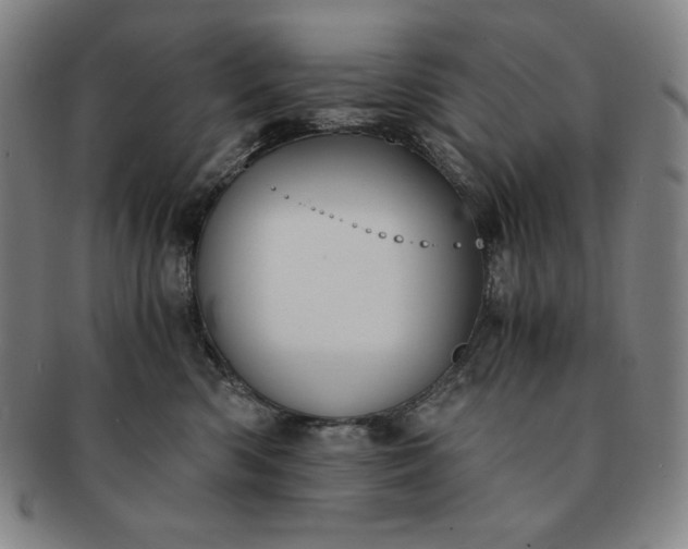 X0000091200426200708231534