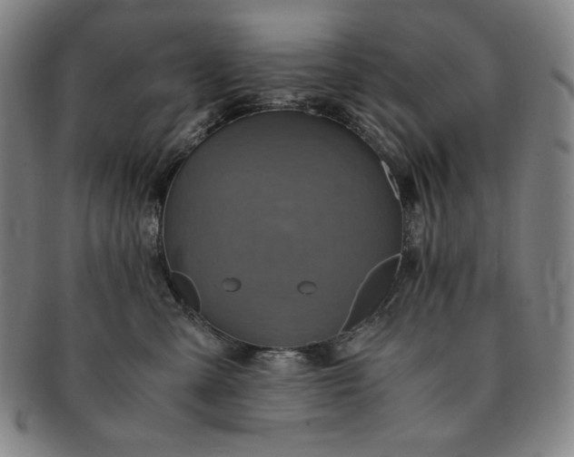 X0000091200427200708231534