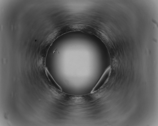 X0000091200428200708231534