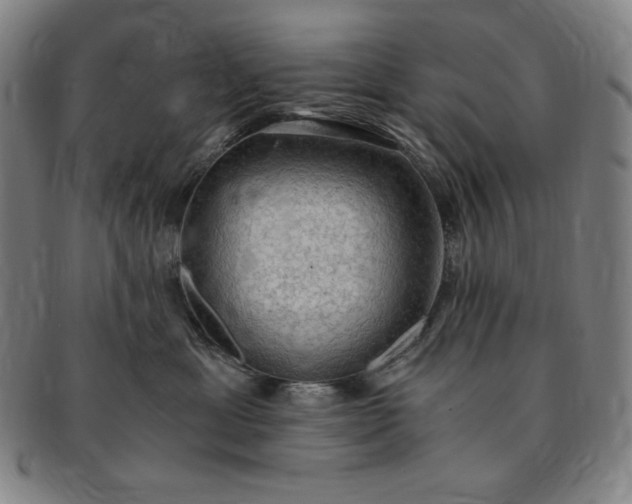X0000091200429200708231534