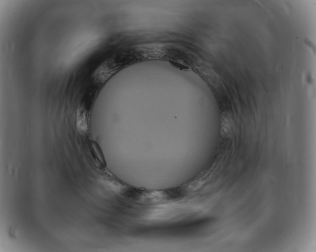 X0000091200431200708231534