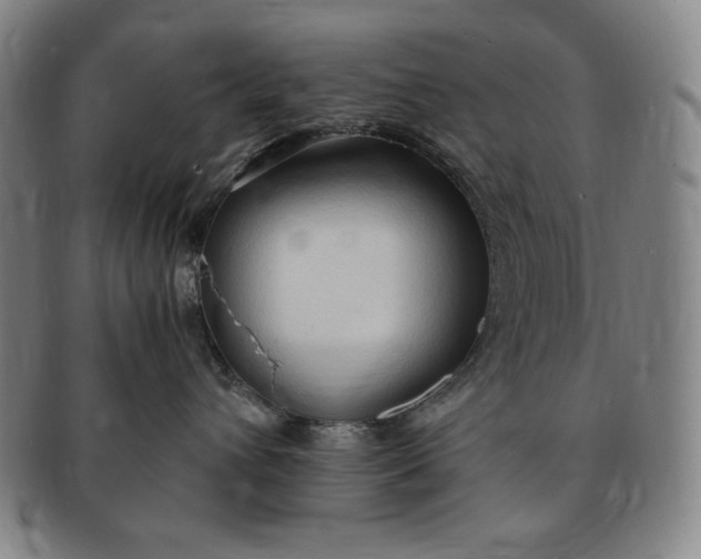 X0000091200432200708231534