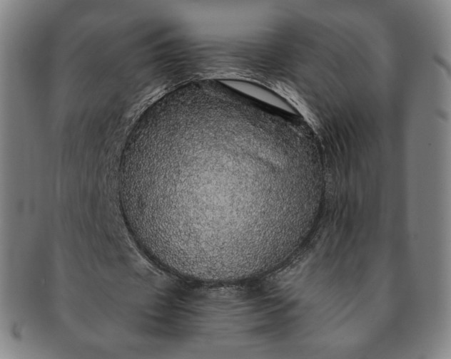 X0000091200433200708231534