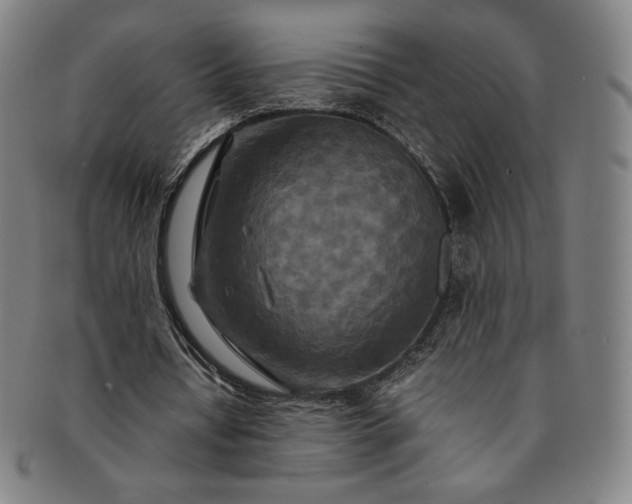 X0000091200434200708231534