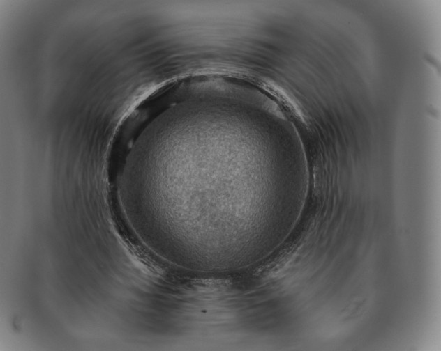 X0000091200436200708231534
