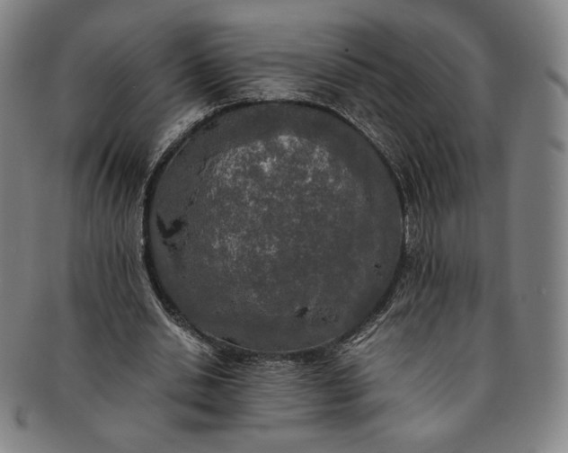 X0000091200438200708231534