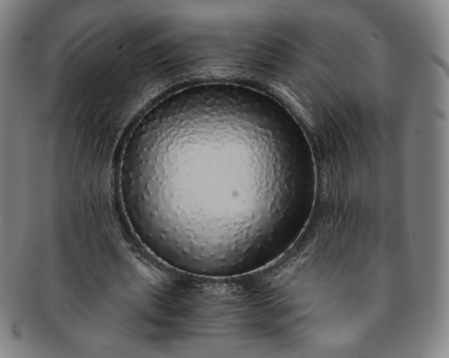 X0000091200439200708231534
