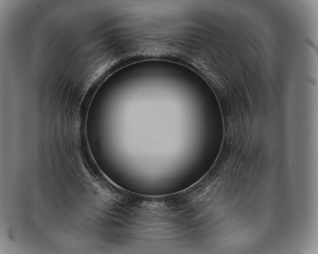 X0000091200440200708231534