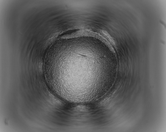 X0000091200441200708231534