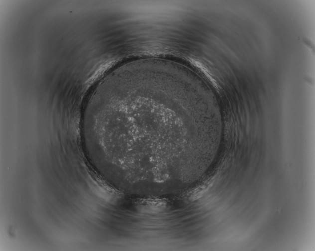 X0000091200443200708231534