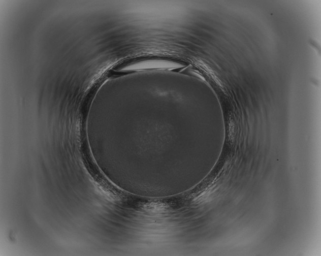 X0000091200444200708231534