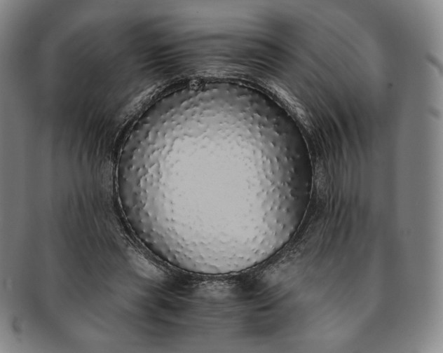 X0000091200445200708231534