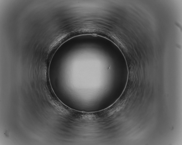 X0000091200446200708231534