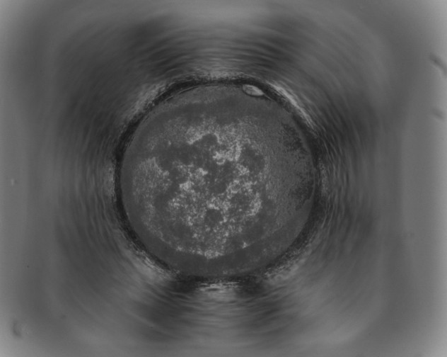 X0000091200447200708231534