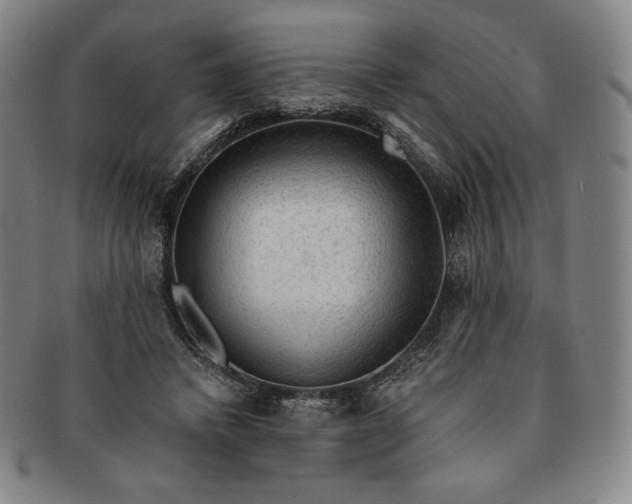 X0000091200448200708231534
