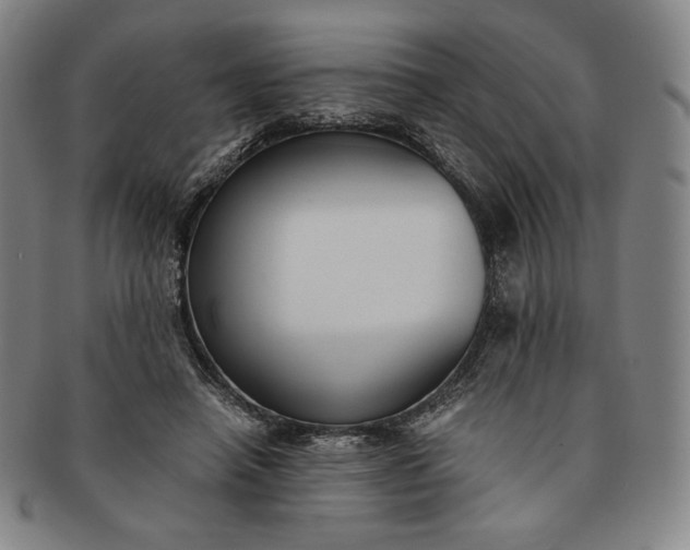 X0000091200450200708231534