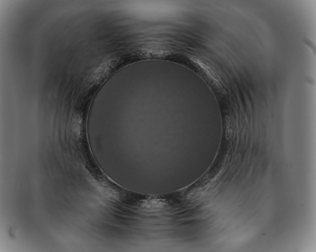 X0000091200451200708231534