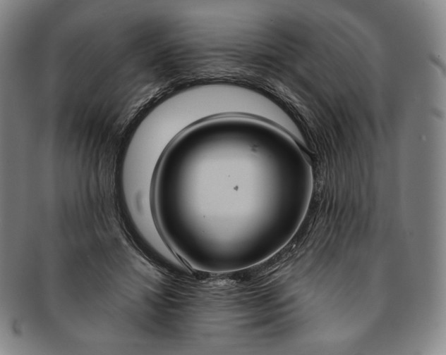 X0000091200452200708231534