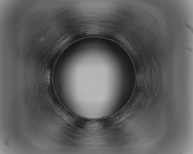 X0000091200454200708231534