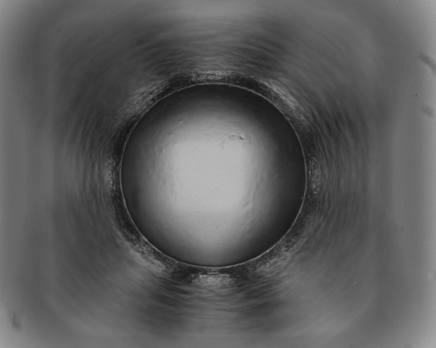 X0000091200455200708231534