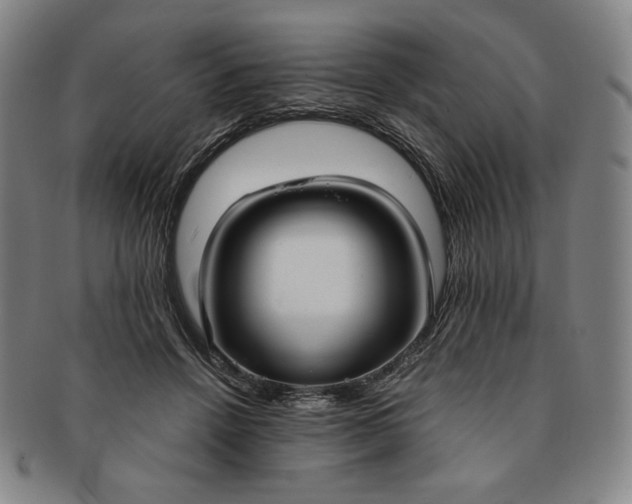 X0000091200456200708231534