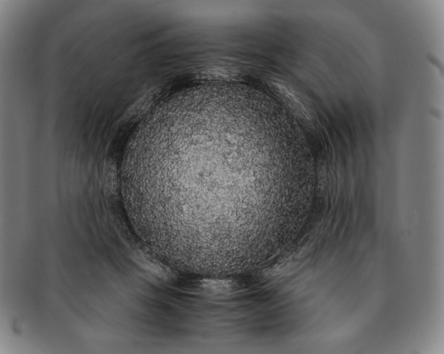 X0000091200457200708231534