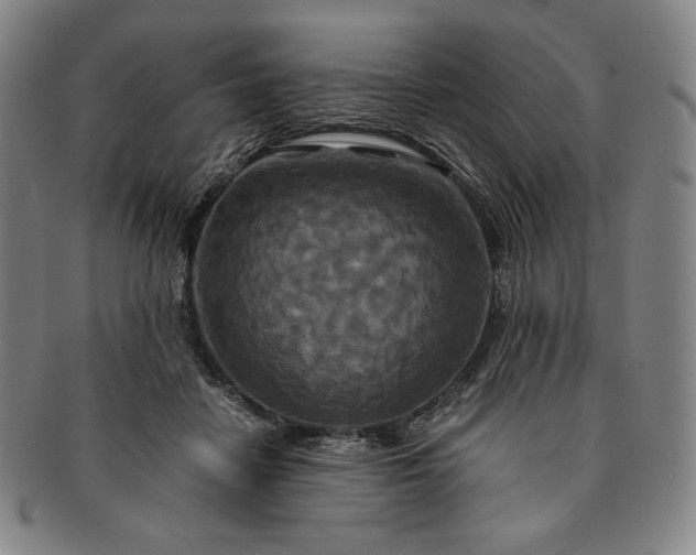 X0000091200458200708231534