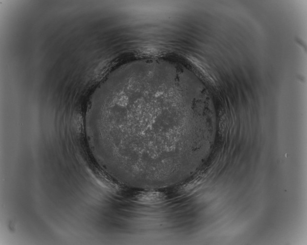 X0000091200459200708231534