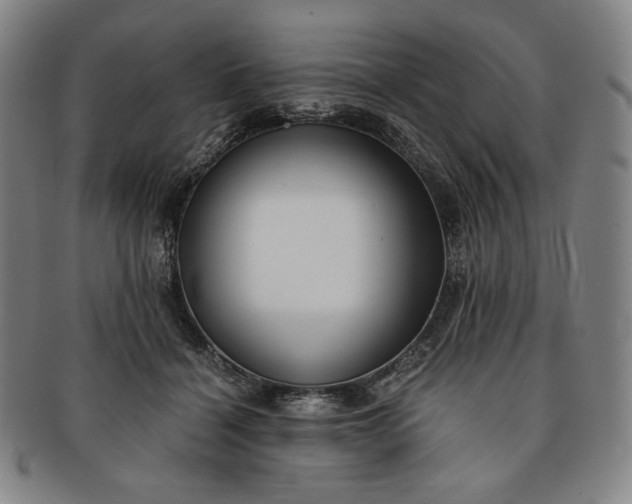 X0000091200460200708231534