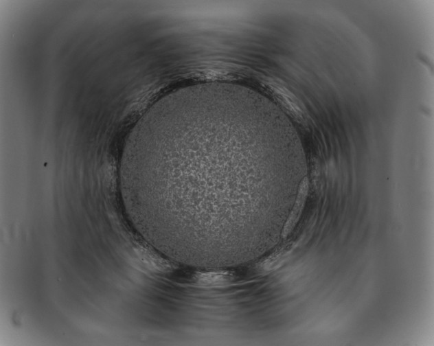 X0000091200461200708231534