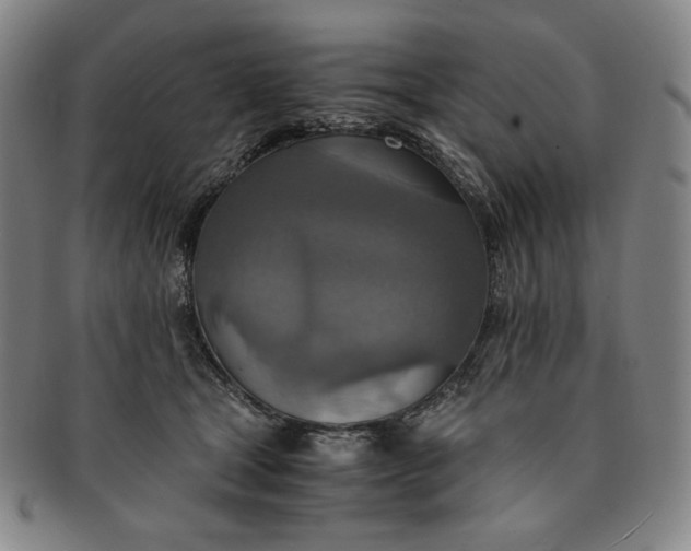 X0000091200465200708231534