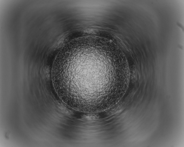 X0000091200466200708231534