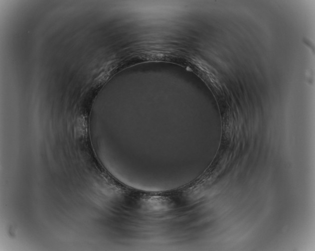 X0000091200467200708231534