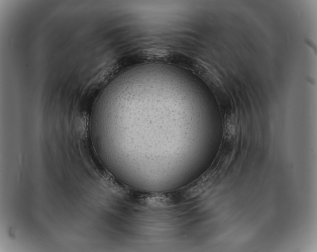X0000091200468200708231534