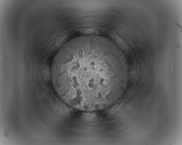 X0000091200469200708231534