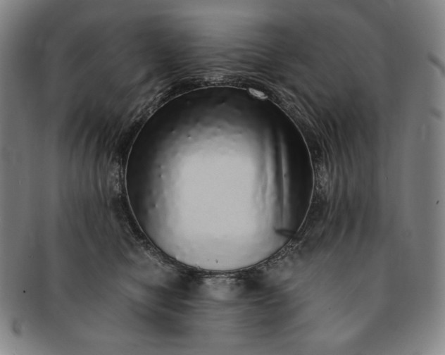 X0000091200470200708231534