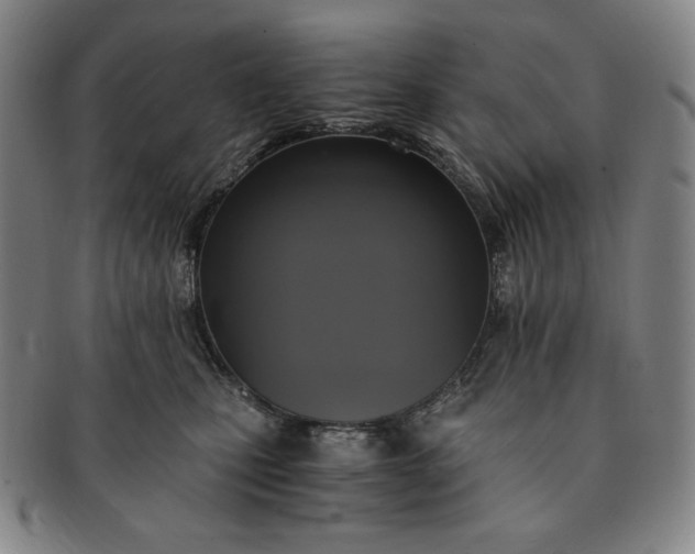 X0000091200471200708231534