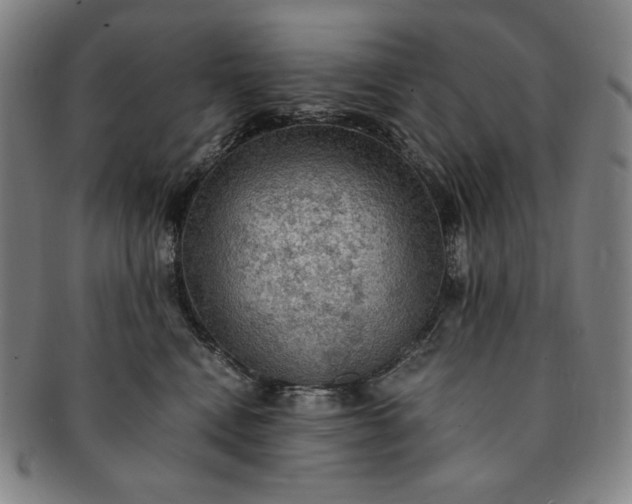 X0000091200472200708231534
