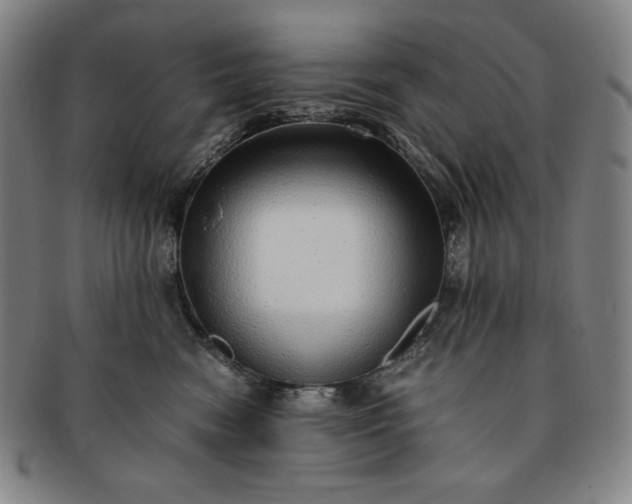 X0000091200474200708231534