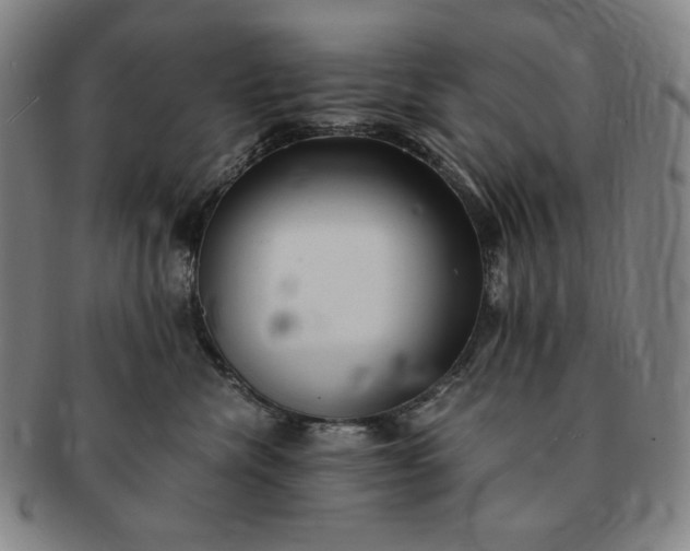 X0000091200476200708231534