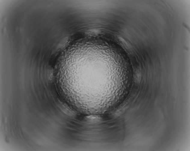 X0000091200477200708231534
