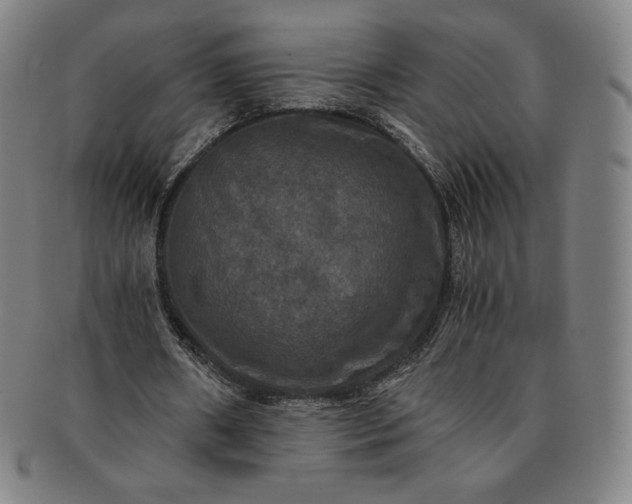 X0000091200482200708231534