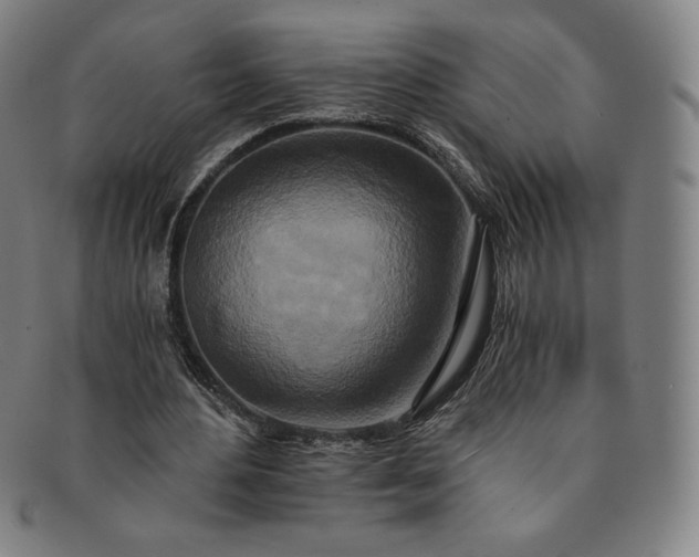 X0000091200484200708231534