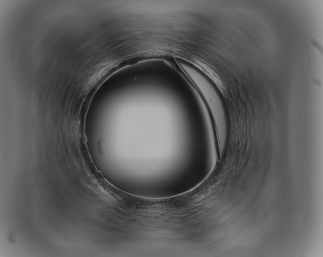 X0000091200485200708231534
