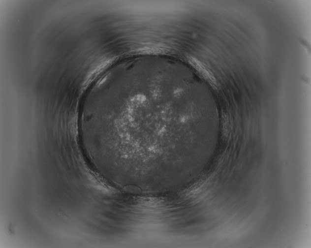 X0000091200486200708231534