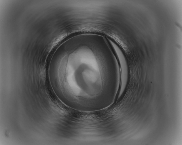 X0000091200488200708231534
