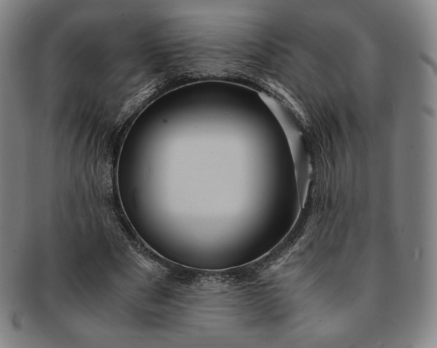 X0000091200489200708231534