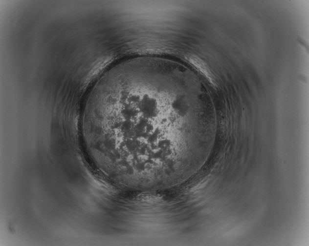 X0000091200491200708231534
