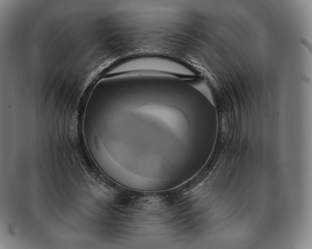 X0000091200492200708231534