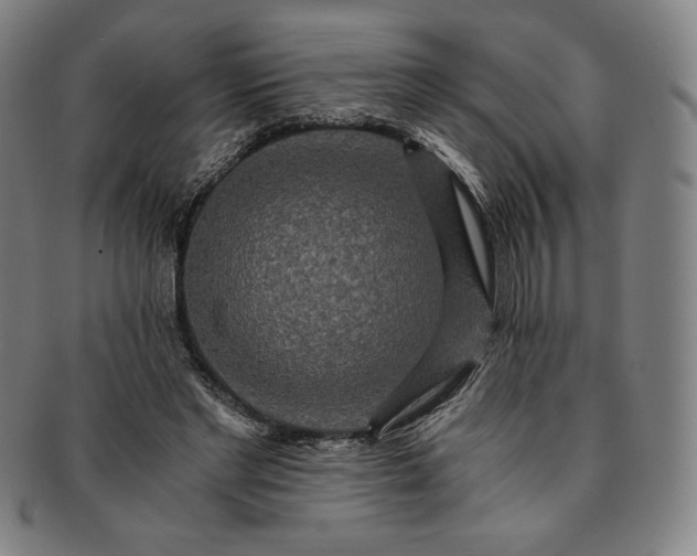 X0000091200493200708231534